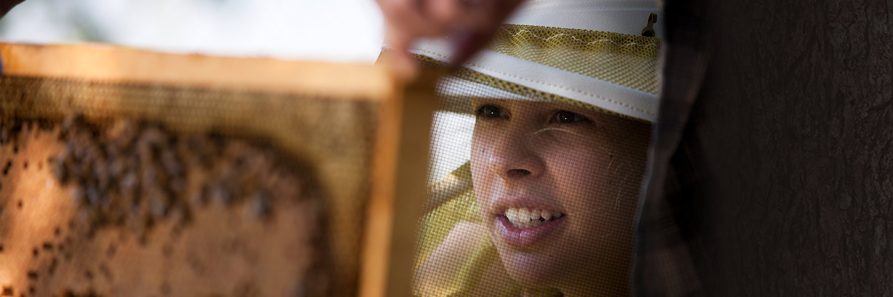 Ellie Symes examines a beehive.
