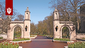 Sample Gates daylight ZOOM background with flowers