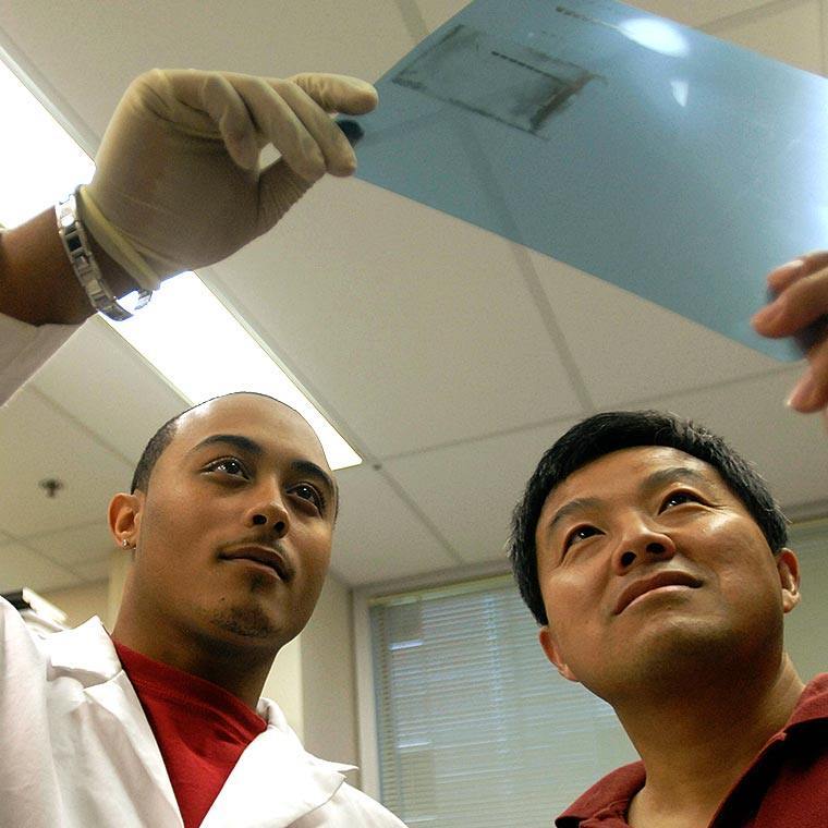 Students examine an X-ray slide